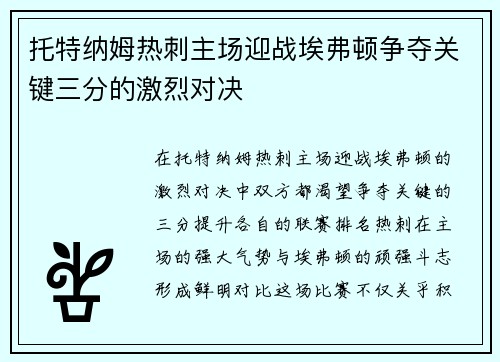 托特纳姆热刺主场迎战埃弗顿争夺关键三分的激烈对决